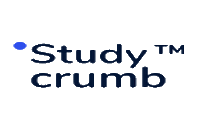 Essay Service by StudyCrumb - Experienced Writers at Your Service.
