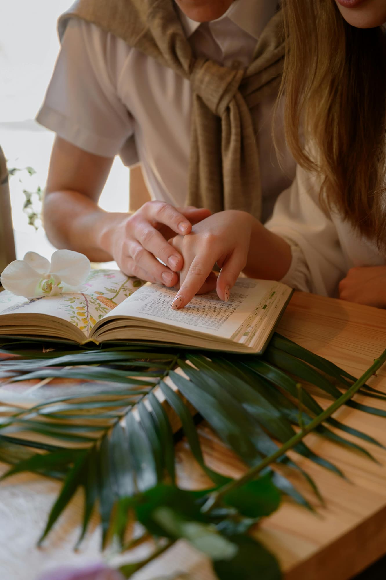 Ghostwriter for Mathematics Coursework, Bachelor’s and Master’s Theses – When Is Assistance Appropriate?